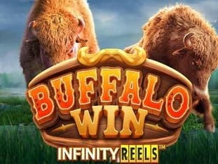 Buffalo Win